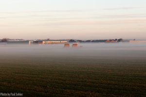 Foggie weather