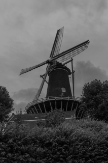 0V6A3919-Enhanced-NR