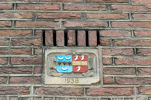 1_0V6A3576