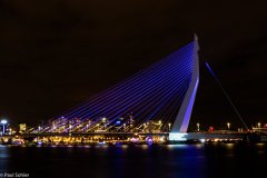 1_0V6A0591