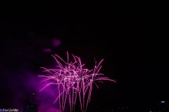 1_0V6A0711
